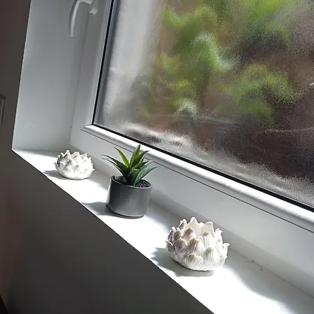 Au Bord De La Kirneck