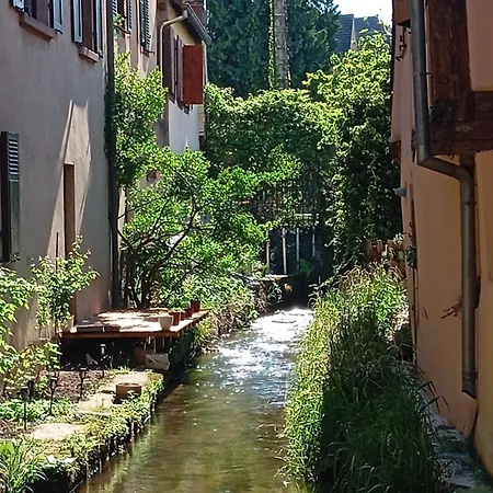 Appartement Au Bord De La Kirneck Barr