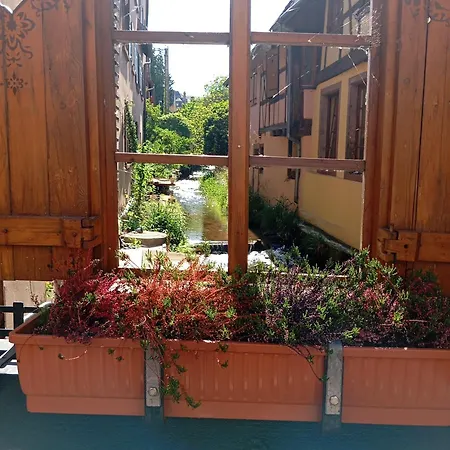 Apartmán Au Bord De La Kirneck *