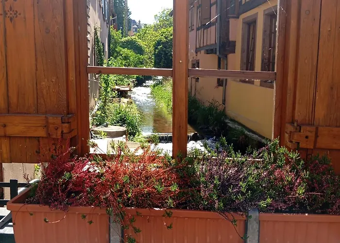 Appartement Au Bord De La Kirneck *